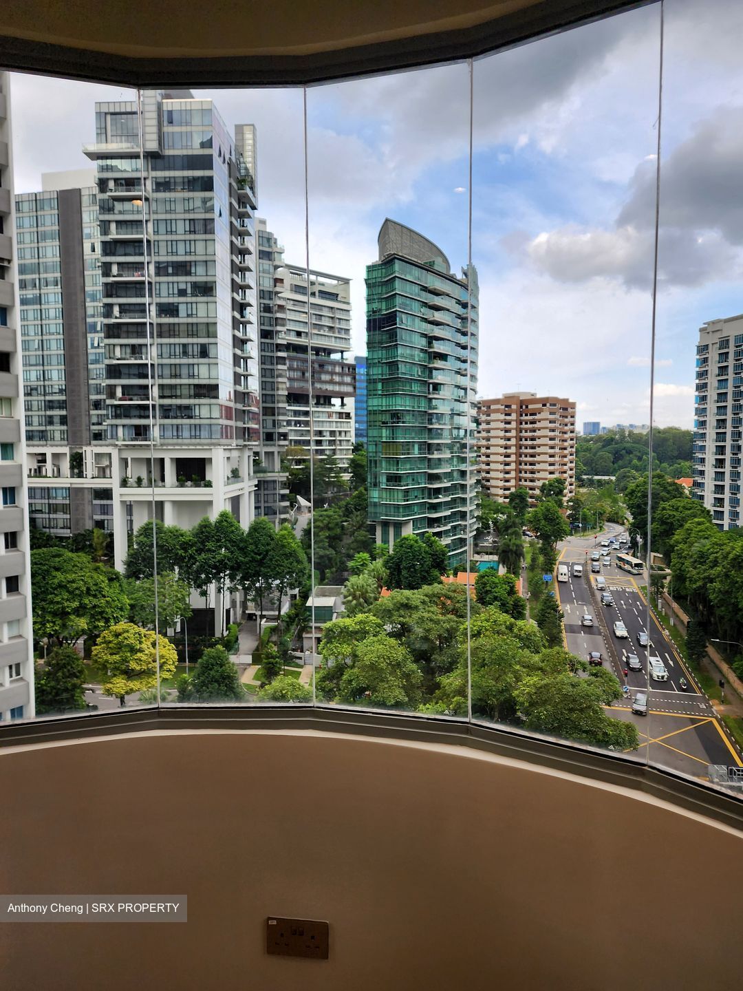 Mount Elizabeth Link (D9), Apartment #399194151